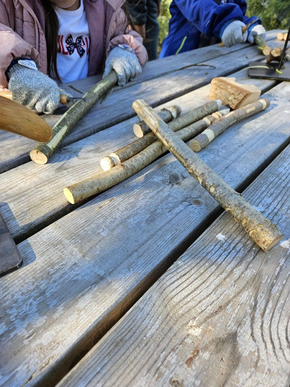 AlvoLewa - Kindergarten - Kindergarten